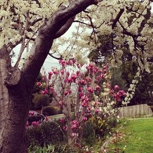 Meet your Posher, Kathryn